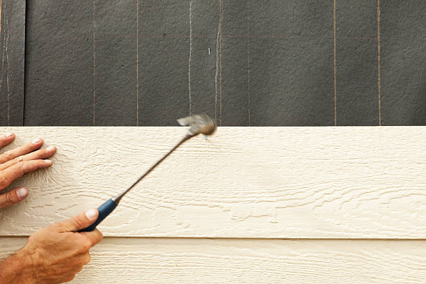 Best Steel Siding Installation  in Covington, KY
